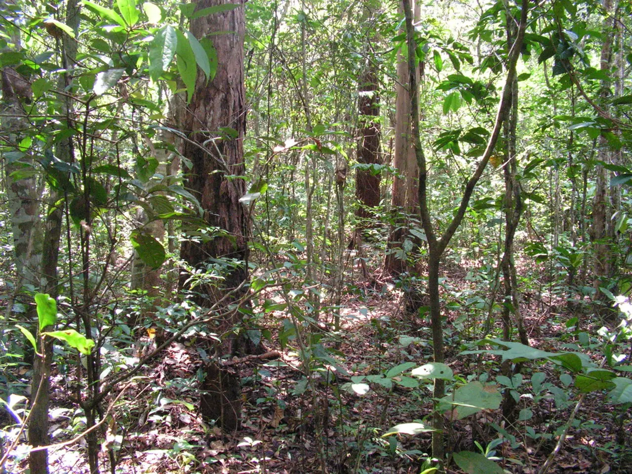 Tree-planting initiative, coupled with ecological workshops, unfolds in Wojkowice on April 23,...