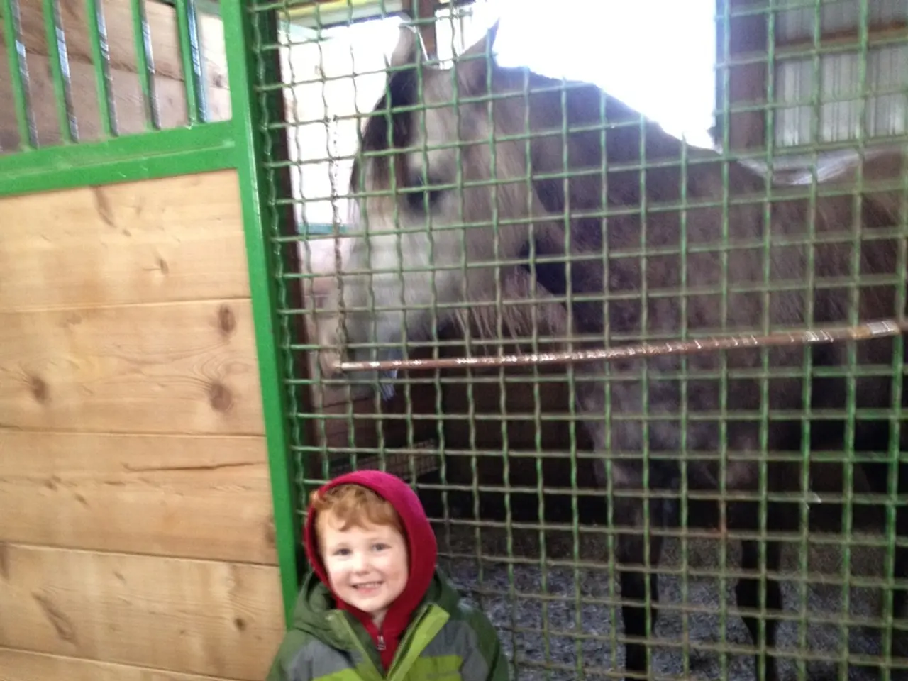 In the Italian city of Grosseto, 9 additional individuals have completed their studies under the...