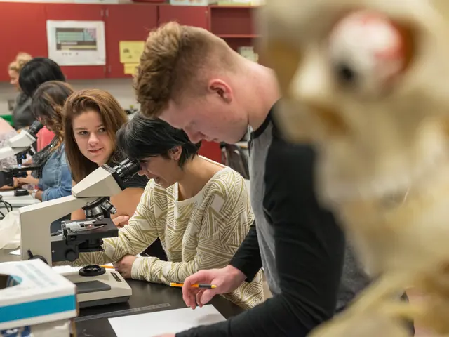 Productive individuals exhibit three key cognitive patterns: persistent goal pursuit, task...