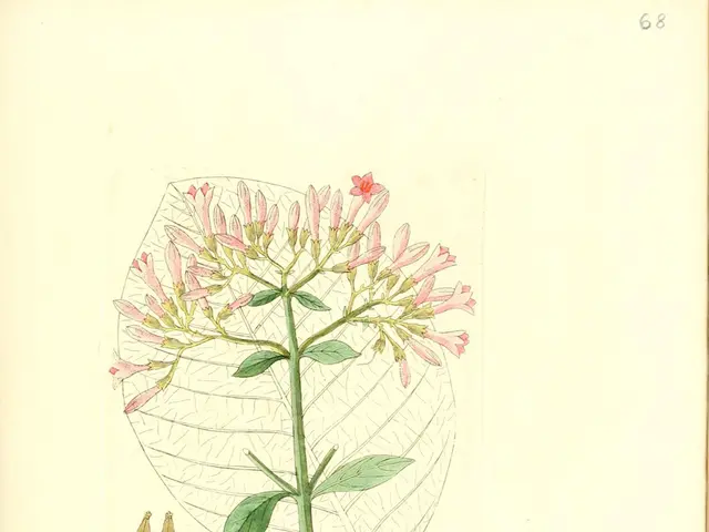 7 Strategies to Maintain Drive When Contemplating Giving Up