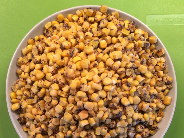 Crops' productivity suffers 'significant decline' in a warming world, despite adaptation efforts