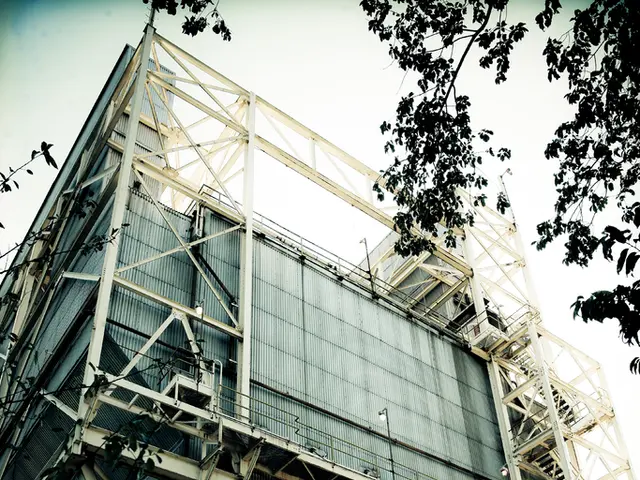 Results for ZIMSEC's June 2024 O-Level and A-Level exams have been published. Here's how to access...