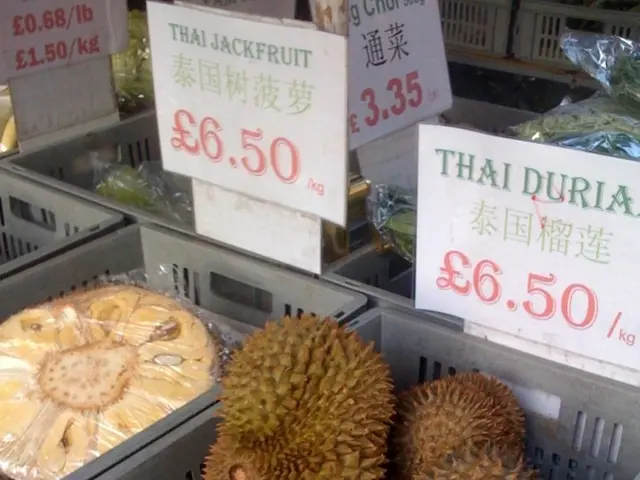 Detailed Guide to Know the Costs Involved in Thinkific Subscriptions