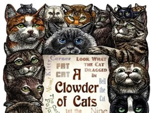 Recognition Granted to Graduating Students