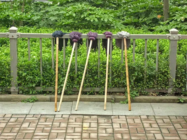 Upcoming Telangana School Closures in July 2025: Find All Holiday Information Here