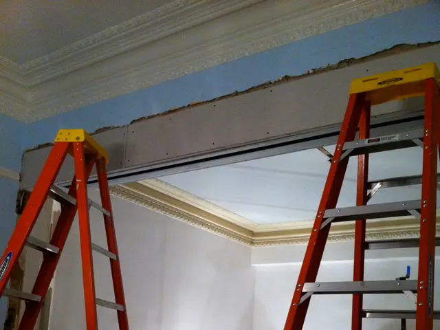 Interview features: Claire F. Gmachl within the Research Insights Series