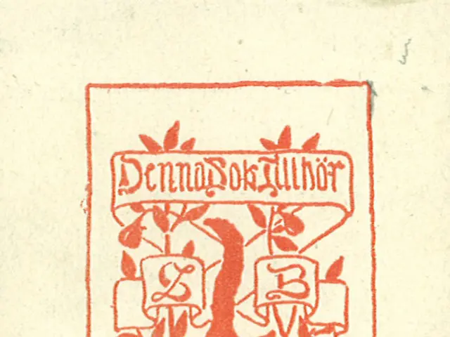 Elementari Explained: A Guide for Learning its Educational Utilization