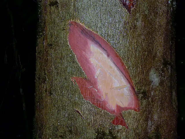 Discovering Vocational Paths in Science, Technology, Engineering, and Mathematics - An High School...