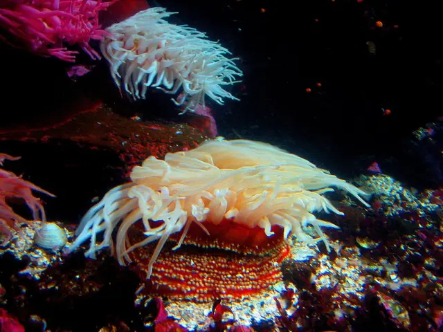 Highlighting Scripps College: Karen Gutierrez, a Prominent Student