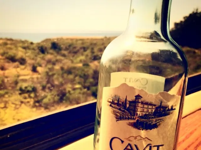 Maintaining, Managing Diseases, and Pest Control in Cultivating American Ginseng in Ohio