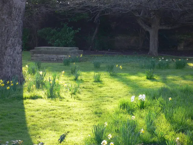 Reunited with a long-ago summer love, as revealed by author Julia Kelly in her personal account of...