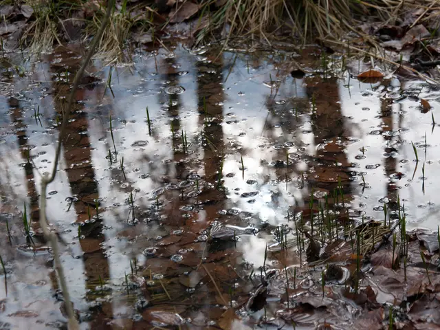 High Court in Kerala steps in on its own accord following school disruptions caused by flooding in...