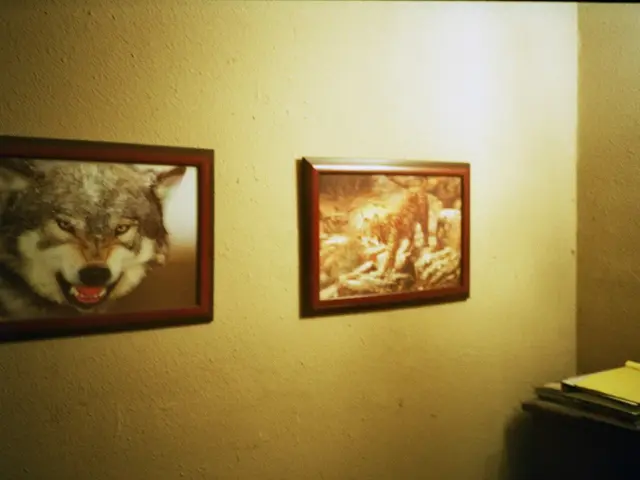 Semester Course Planning Showdown: TigerJunction vs ReCal Strategy Comparison