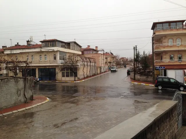 "Expert warnings highlight potential financial strain on taxpayers and rapid devaluation of...