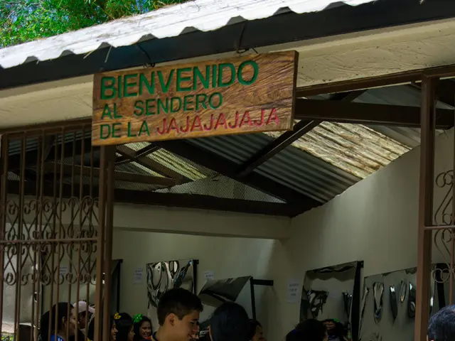 Identifying Overabundance of Pessimistic Individuals: Recognizing and Managing Them