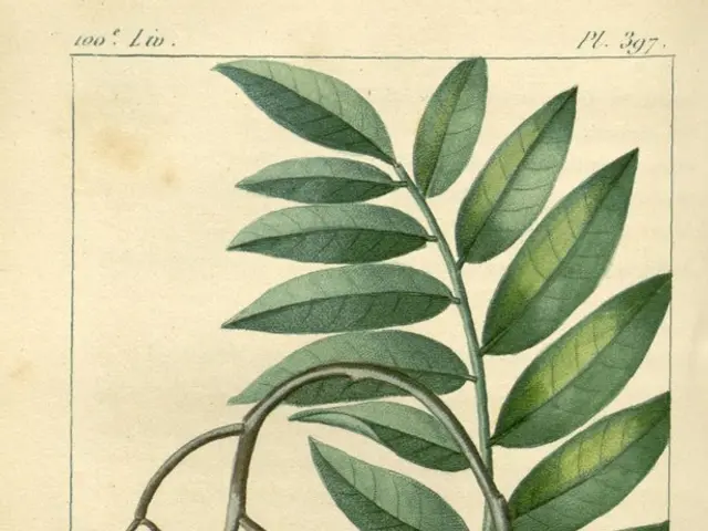 University Results for Matsya University in 2024 are Now Available Online at rrbmuniv.ac.in; Direct...