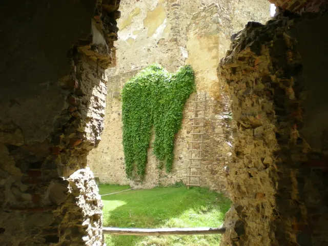 Exploring the Selenite Gemstone and Mineral Collection: An Overview