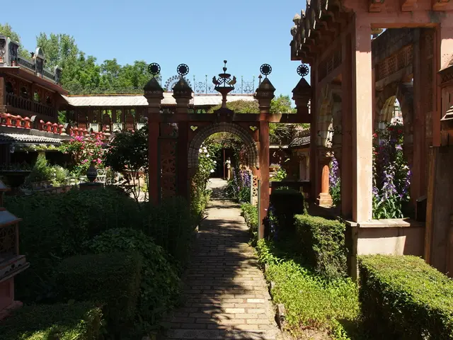 The long-awaited arrival: Magnolia Time