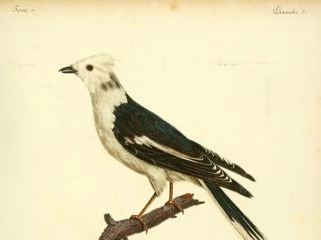 Remarkably slim is the probability of Earth's existence and human life persisting on it. Yet,...