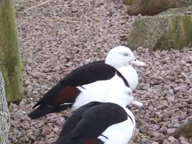 Exploring Nature-Inspired Sensory Boxes for Education, Encouraging Awe and New Insights
