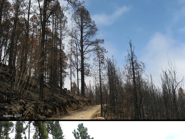 State distributes $4.3 million from Healthcare Workforce Investment Fund to 28 initiatives in...