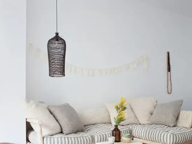 Houseplants can instantly liven up your college dormitory, offering an instant boost to your living...