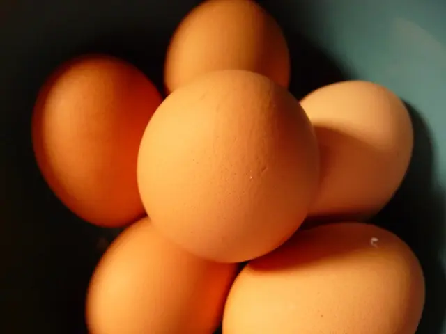 Top 10 Exceptional Chicken Breeds Known for Laying Delicious Brown Eggs