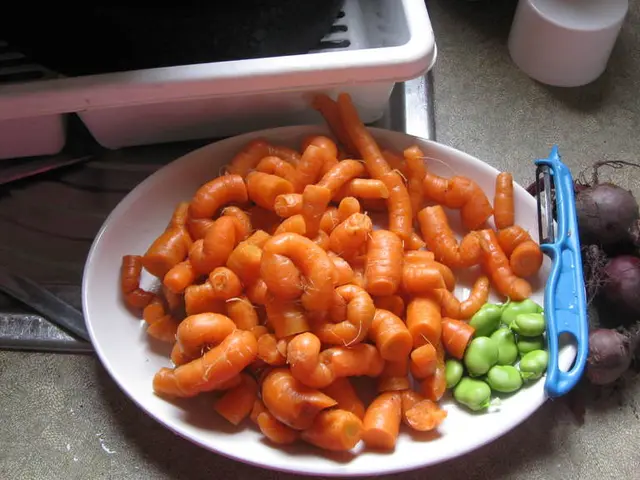 Industri Feed Vacancies Announced by Om Chao Biro