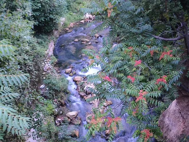 Unique Math Evaluations Utilizing Natural Resources to Stir Awe