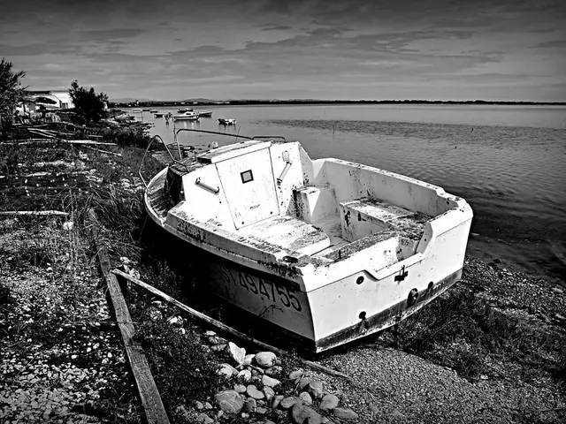 Prada launches Sea Beyond, an educational hub focusing on marine life, in Venice's lagoon