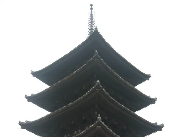 China intends to enhance young scientists working abroad through financial support initiatives