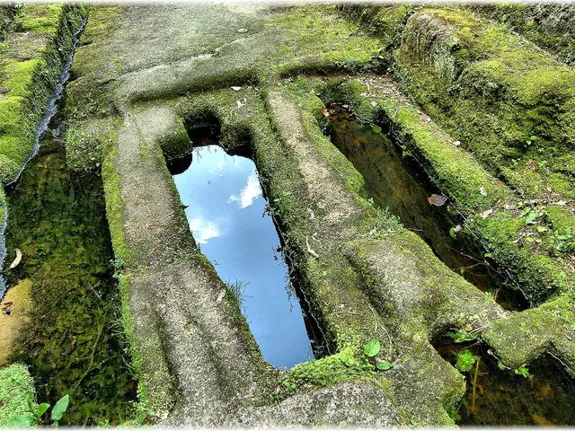 Global Hydrogen in the Southern Regions: Assessing Reality Beyond Excitement