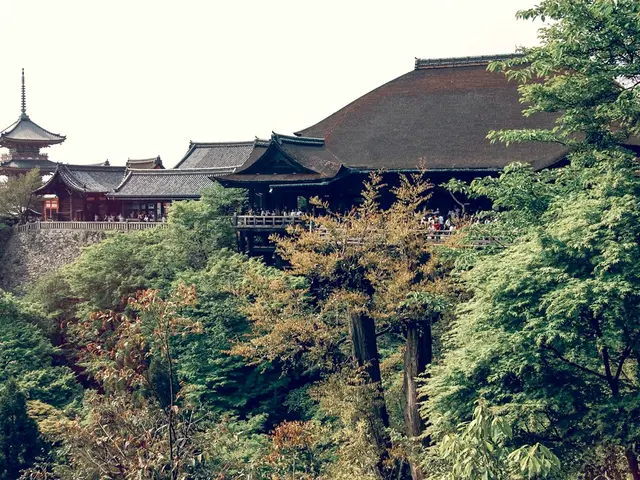 The Brevity of Understanding Explored