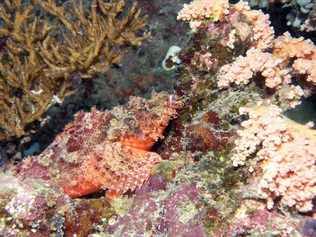 Redefining hair care strategies using cynorrhodon extracts for addressing brittle locks