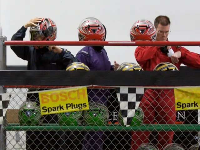 Volunteer work signifies active participation in democracy