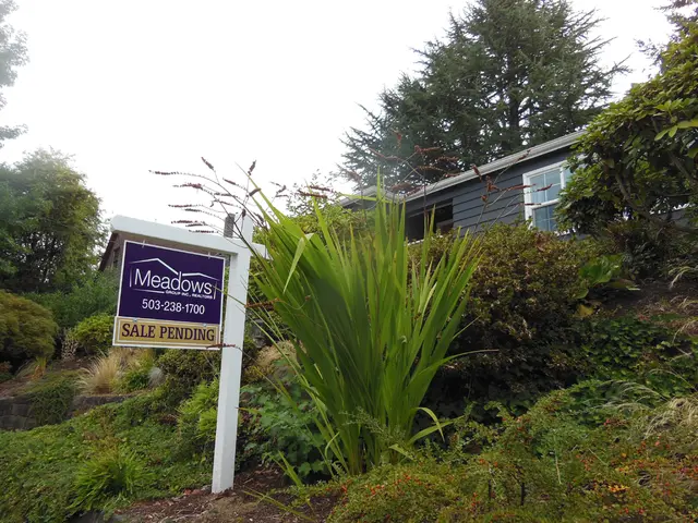 Organization seeking Development Intern for Fall 2025