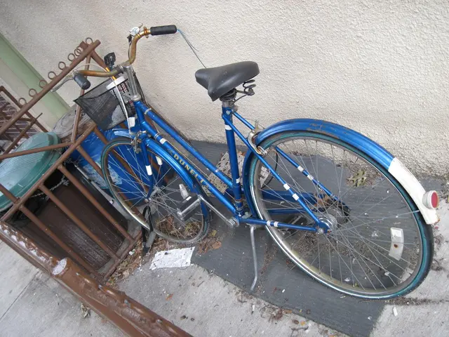 Parliament's Lower and Upper Chambers: Lok Sabha and Rajya Sabha