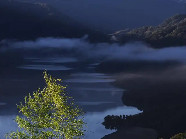 International Hydrogen in the Global South: Assessing Reality Beyond Excitement