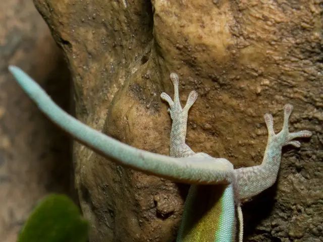 Discovered After Years of Séclusion: Living Creatures Unearthed From Petrified Stone