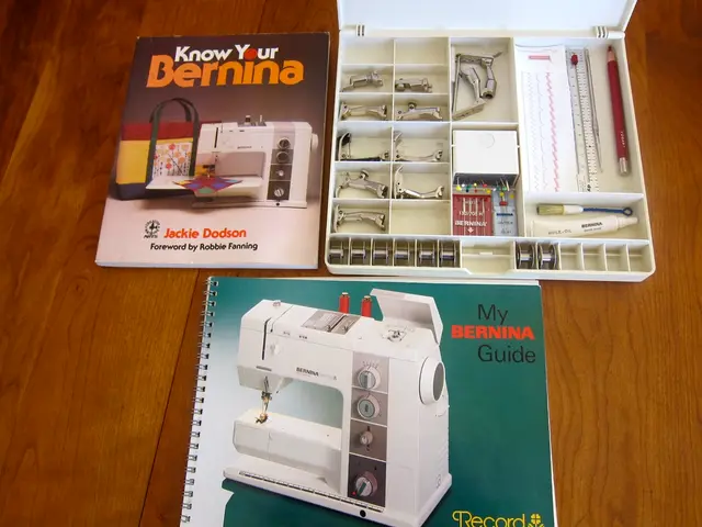 Digging Deeper into Data Science Beyond Programming Skills