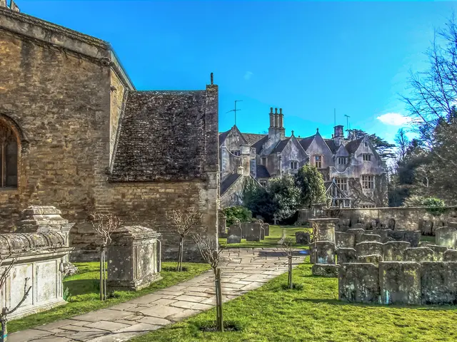 Refreshing House Plant Dirt: Reusing and Revitalizing