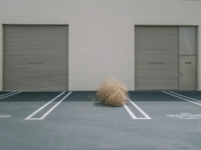 Programme by Liquid's Fibre TechCelerate Boosts Power for SMMEs and Students in South Africa's...