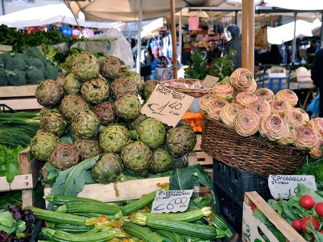 Comprehensive Overview of Spiritual, Physical, and Mental Retreats: A Detailed Examination