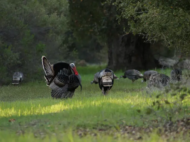 Turkey stands to reap significant economic benefits from a shift towards a green economy, according...