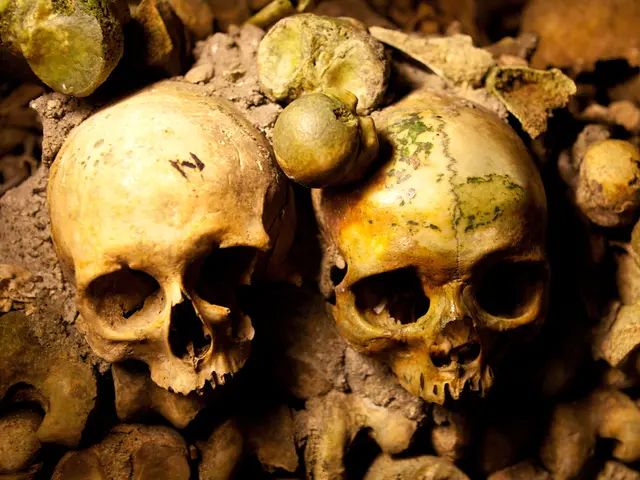 Humanity's Possible Legacy: Primarily Consists of Discarded Chicken Remnants