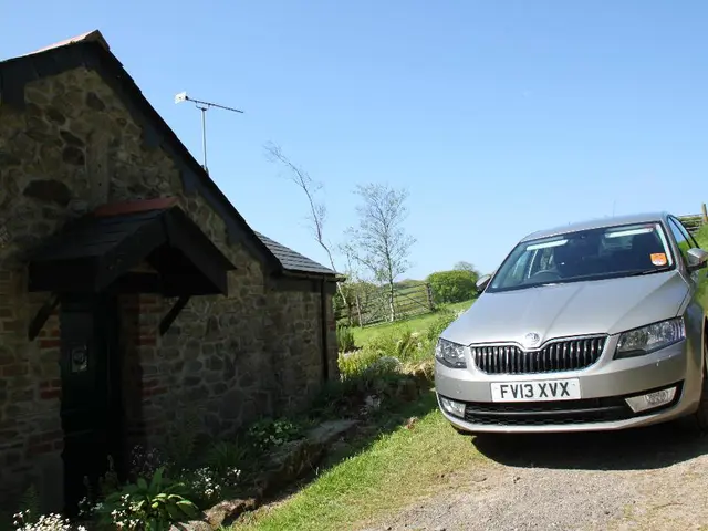 School Wellness: Fostering Mental Health through Educational Settings