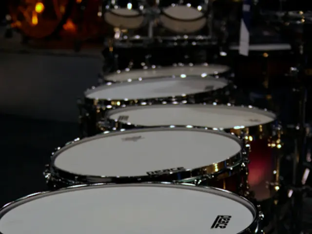 High Court aids in NDPS case as law students act as neutral parties