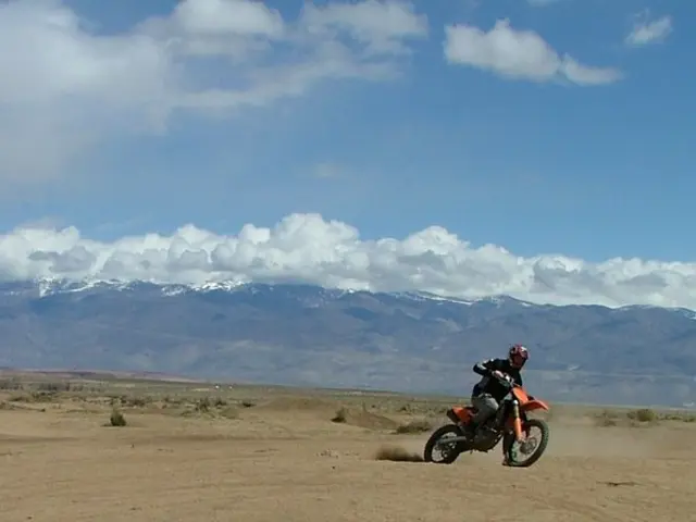 Will Dubai prove to be an effective COP or an ineffective one?