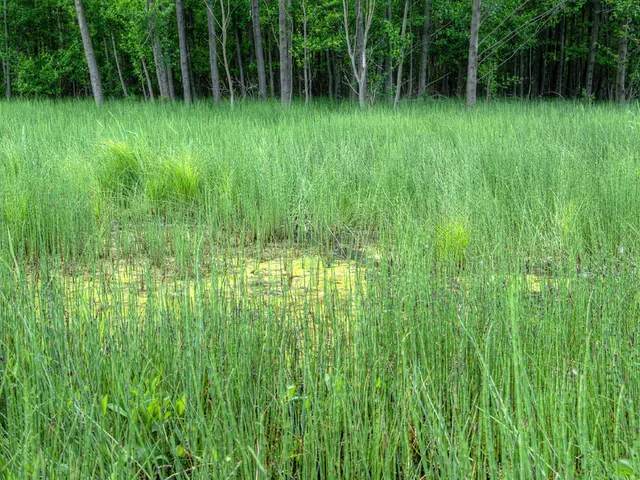 Strategies for Forging Enduring Connections via Agricultural Internships