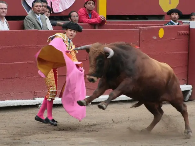 Understanding Aggressive Behavior: Bullying Explained